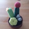 Raquel & Cactus