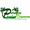 palmerasyplantas