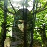Forestta