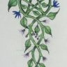 martinablossom
