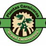 Green Carnivorous