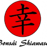 Bonsái Shiawase
