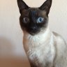 cielo11