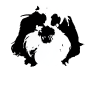 Zixon