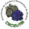 Cacsuma