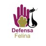 irene.felinos