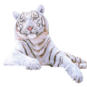 seansa