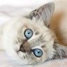 cuqui3