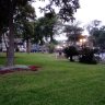 jardin verde