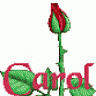 carolguillen77