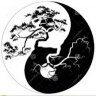 angeljdv3097.bonsai