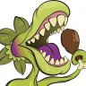 Carniwinki