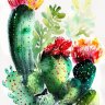 Cacti love