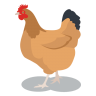 DavidReyesjcd