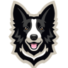 alexbordercollie
