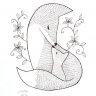 NoeWAcox