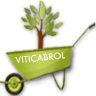 Gabriel - Viticabrol