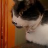 Katherine06_