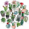 Tariños&Garden