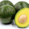 FanDelAguacate