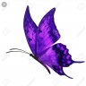 mariposa2975