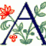 Amic