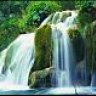 arub_307