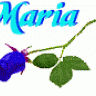 Maria A. Catala