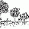 cooperma