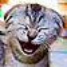 felin@