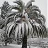 JMontosa