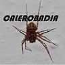 calerobadia