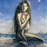 camelia232