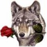 LOBO ALFA