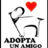 Foquita