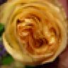 Romit