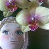 limon