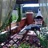 amateur garden