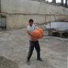 AGRIMOCHE