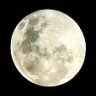 LunaMora