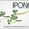 ipona
