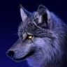 Solitary Wolf
