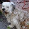 TELVA