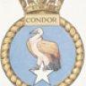 condor