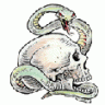 naga13