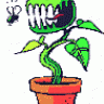 VenusAtrapa(algo...)