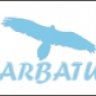BARBATUS