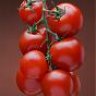 tomatemillones