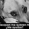sam neuquen