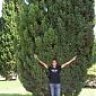 yordan
